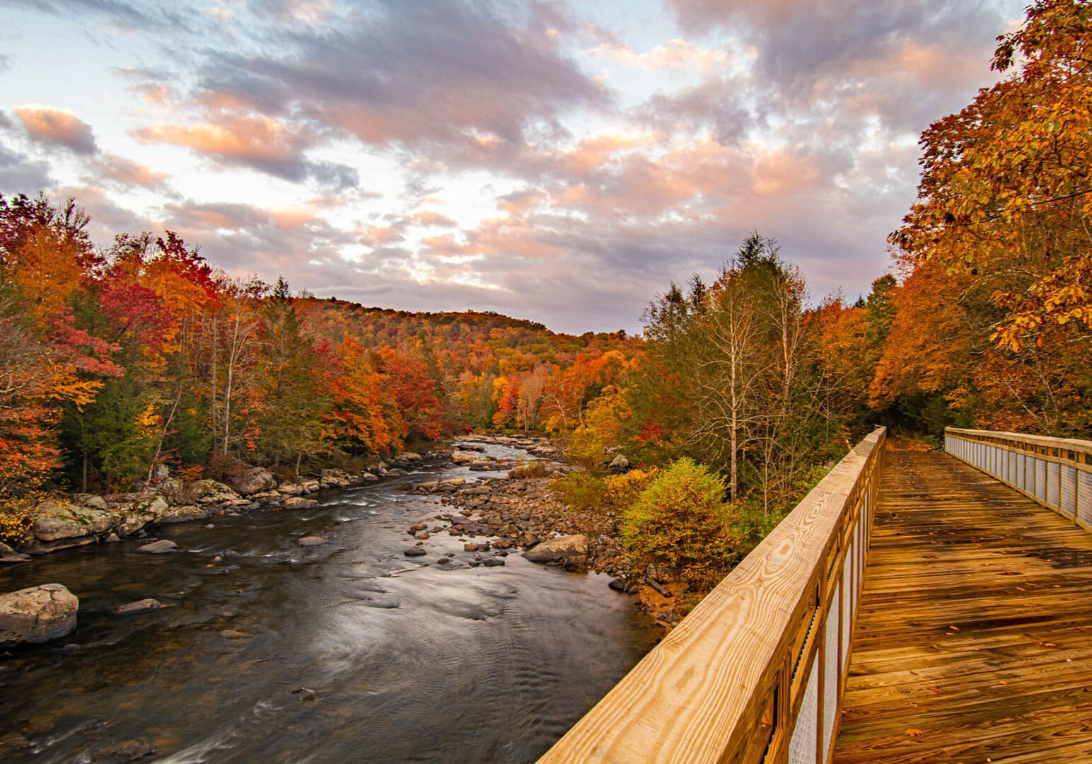 fall-by-the-trail